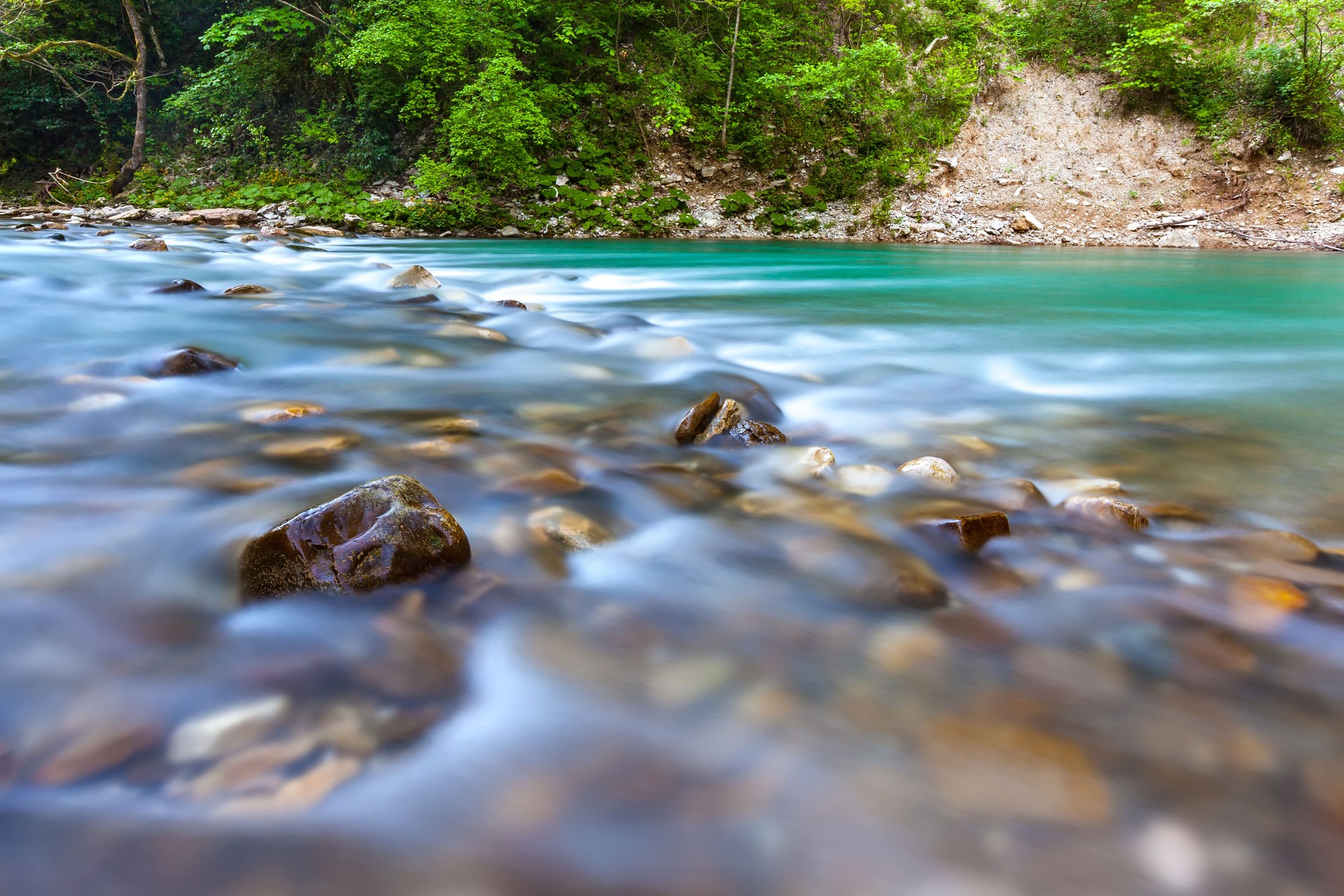 Yew and Boxwood Grove, Adler, Sochi, Russia. Yew and Boxwood Grove, Adler, Sochi, Russia.